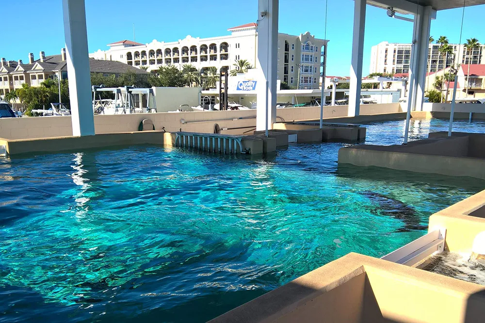 Clearwater Marine Aquarium
