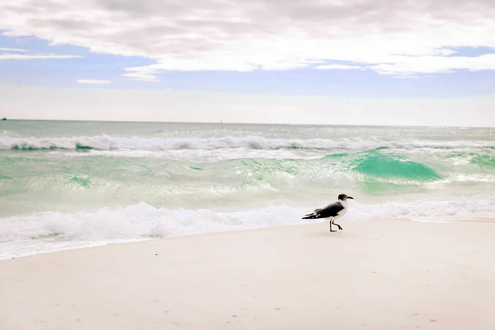 Madeira Beach Florida